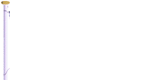 NS Flag